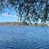 liliana_011618